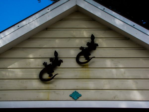 Cost of Shiplap Siding Installation in St Louis