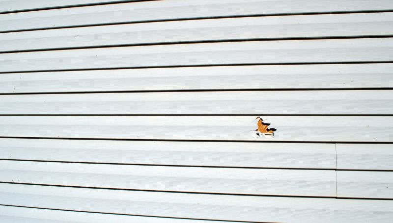 Patch and Repair of Vinyl Siding